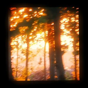 美女奶头视频一区二区三区
